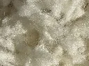 IMG_7127.webp