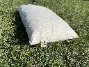 IMG_7173.webp