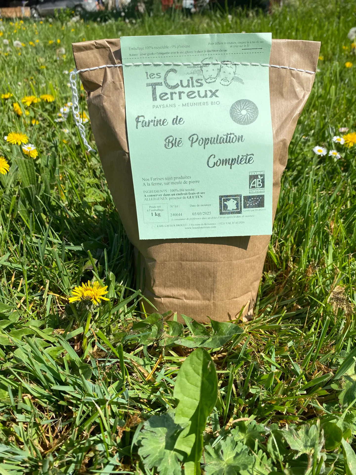 1Kg Farine de Blé Complète AB (Dont blé pop. ancien)